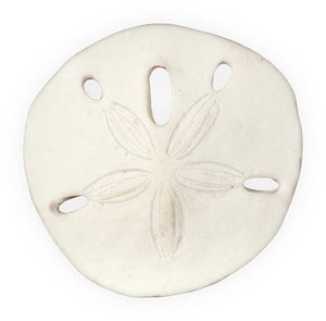 SERENITY - SAND DOLLAR SENTIMENT