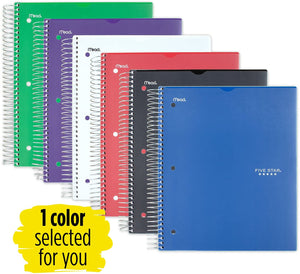 FIVE STAR NOTEBOOK W/CLEARVIEW 5 SUBJECT 100S