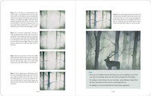 Load image into Gallery viewer, WATERCOLOR FOR BEGINNERS