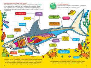 100 QUESTIONS: SHARKS