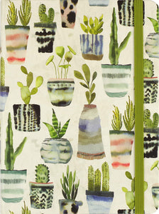 Journal Mid Watercolor Succulents